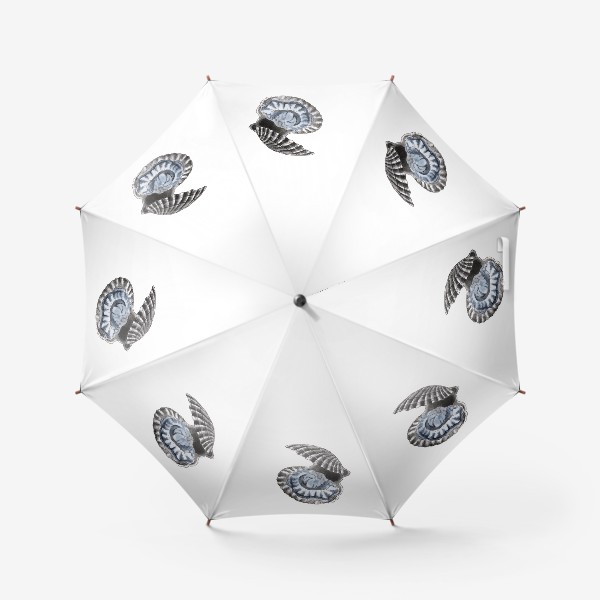 Зонт «Ракушка морской гребешок»