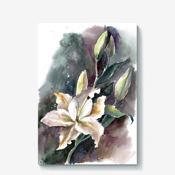 Холст «Акварель цветок Лилия»