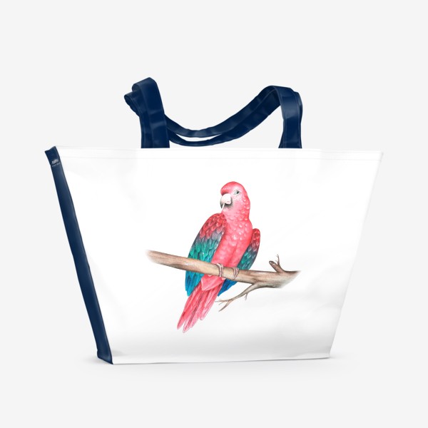 Пляжная сумка «Попугай Ара- лучший друг пирата. »