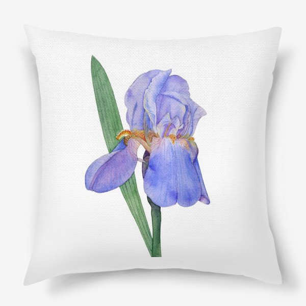 Подушка «Красивый цветок голубой Ирис акварель»