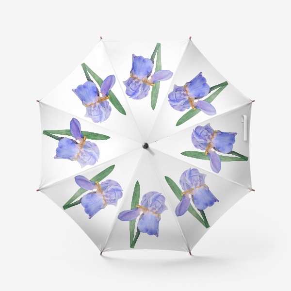 Зонт «Красивый цветок голубой Ирис акварель»