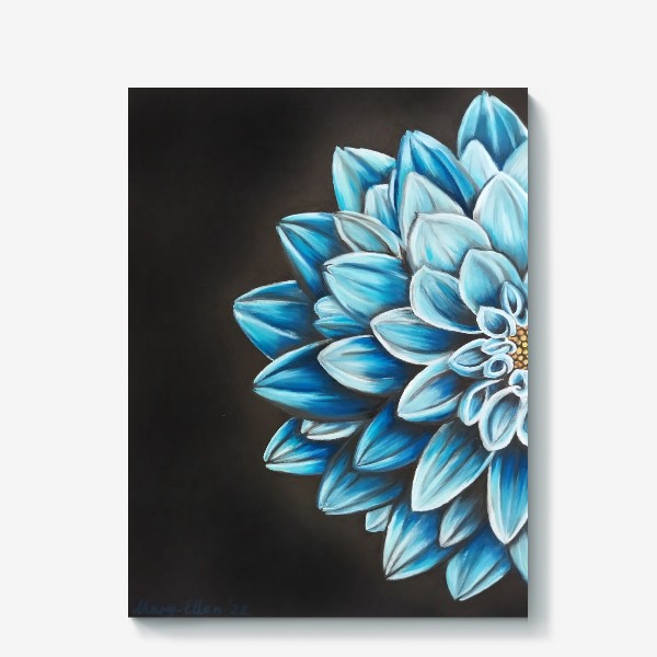 Холст «Цветок голубой хризантемы крупно на черном фоне пастелью»
