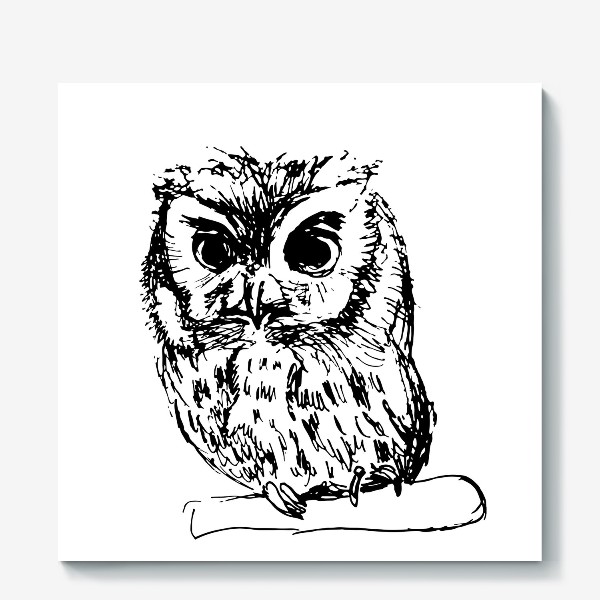 Холст «Owl sketch»