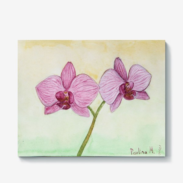 Холст «Орхидея»