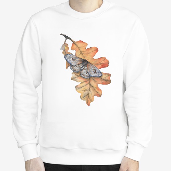 Свитшот &laquo;Бабочка Мотылек Листья Осень Дуб Насекомые&raquo;