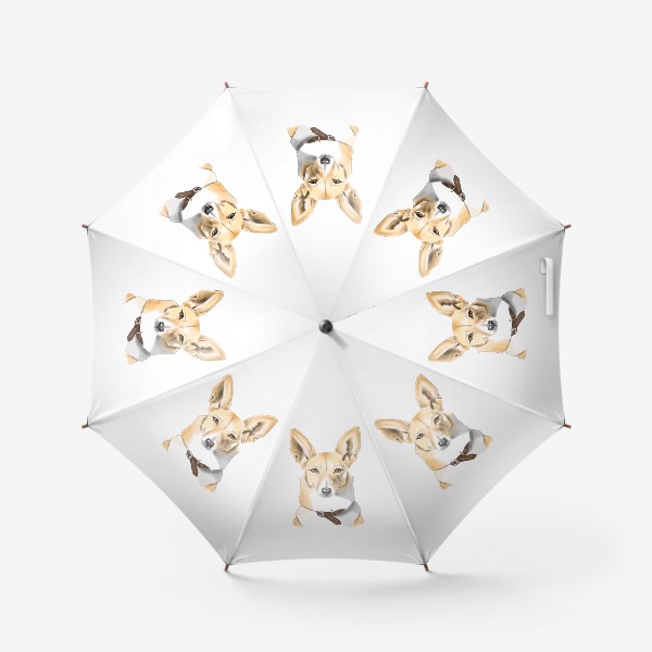 Зонт «Собака порода Басенджи»