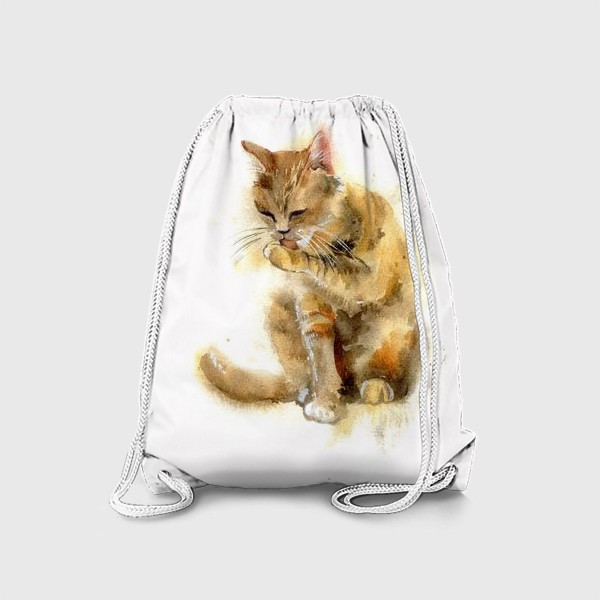 Рюкзак «кот рыжий»