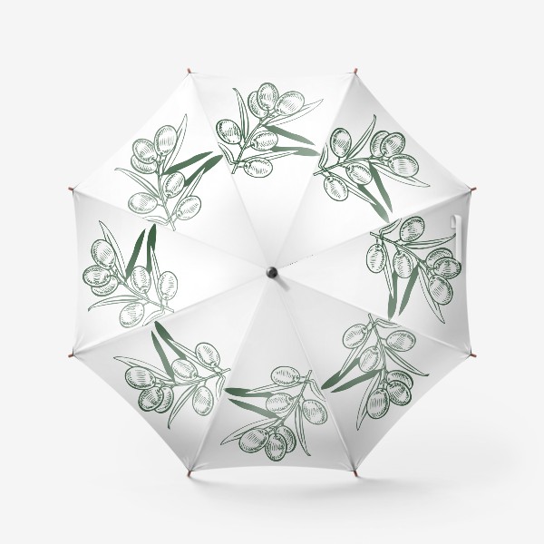 Зонт «ветка оливы графика вектор»