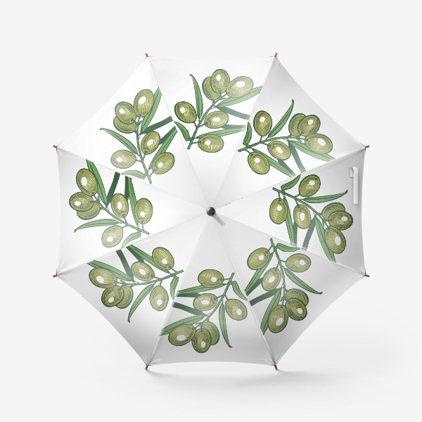 Зонт «ветка оливы зеленая вектор»