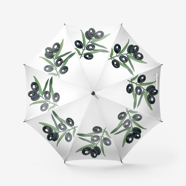 Зонт «ветка оливы маслины черные вектор»