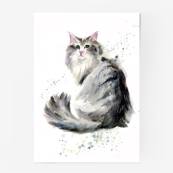 Постер «кот»
