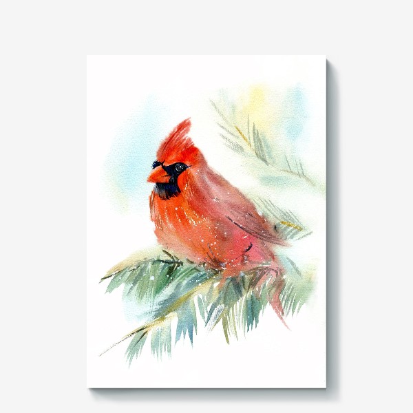 Холст «красный кардинал»