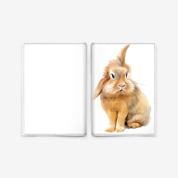 Обложка для паспорта «Рыжий Кролик»