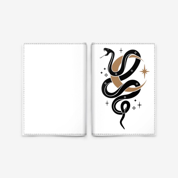 Обложка для паспорта «небесный змей»