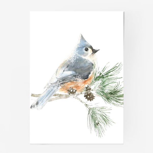 Постер «Акварельная  иллюстрация птичка, Рождественский винтажный принт птица на еловой ветке»