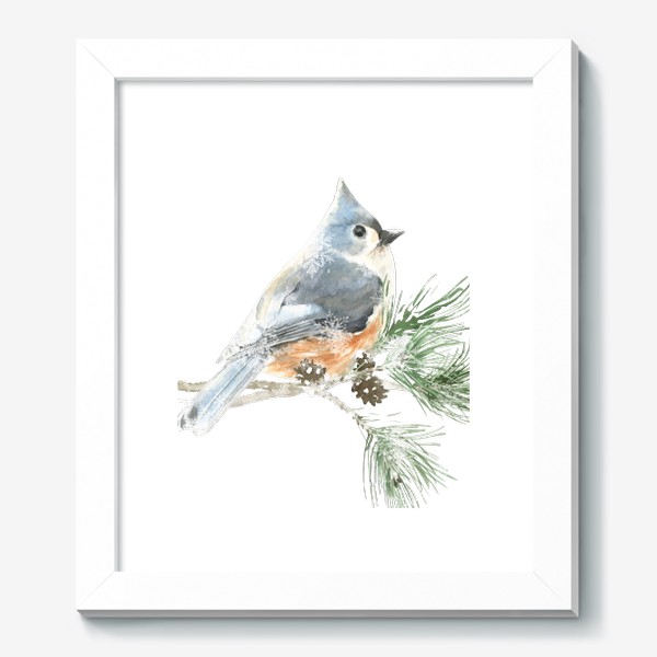 Картина «Акварельная  иллюстрация птичка, Рождественский винтажный принт птица на еловой ветке»