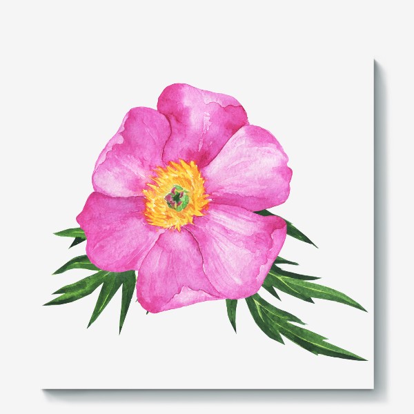 Холст «Акварельный розовый пион, весенняя нежность»