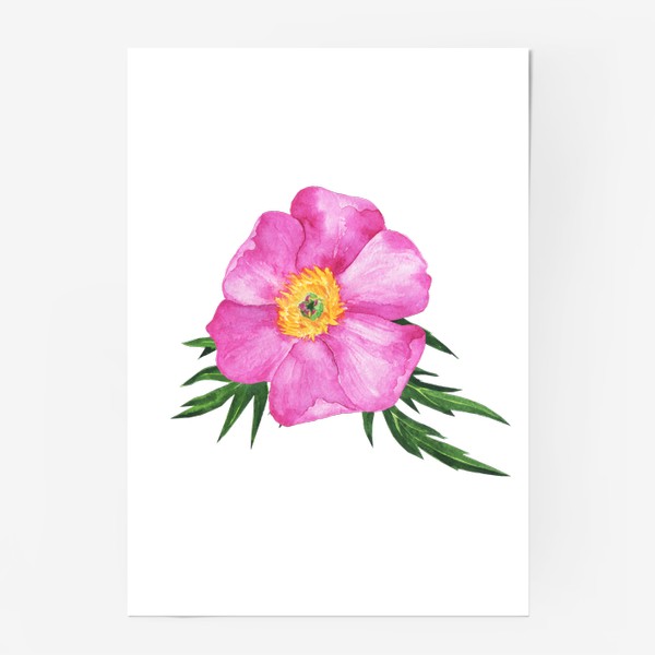 Постер «Акварельный розовый пион, весенняя нежность»