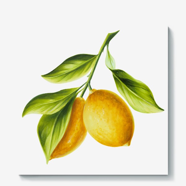 Холст «Лимоны на ветке»