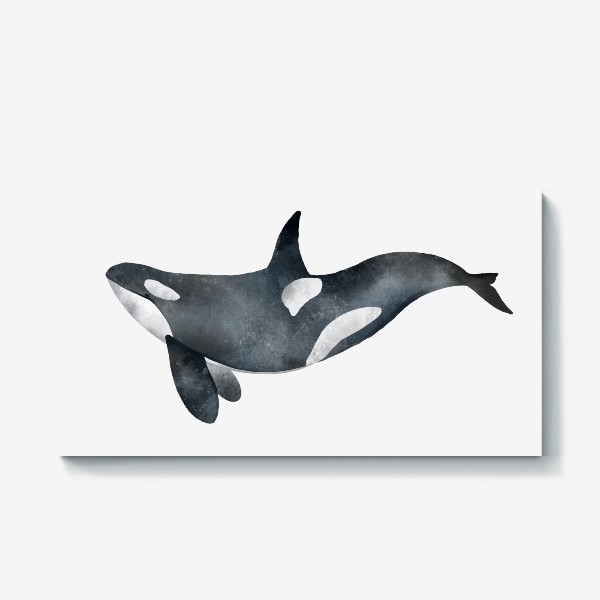 Холст «Акварельная нарисованная вручную иллюстрация с большой черной косаткой. Морское млекопитающие»