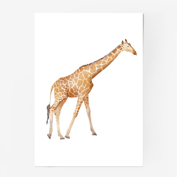 Постер «Акварельная нарисованная вручную яркая иллюстрация с пятнистым оранжевым жирафом. Животные Африки, зоопарк»