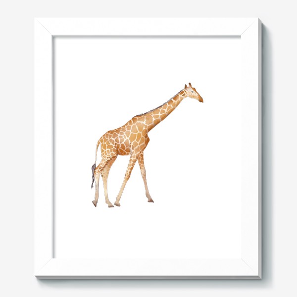 Картина «Акварельная нарисованная вручную яркая иллюстрация с пятнистым оранжевым жирафом. Животные Африки, зоопарк»