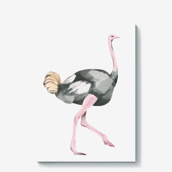 Холст «Акварельная нарисованная вручную яркая иллюстрация со страусом. Животные и птицы Африки, зоопарк»