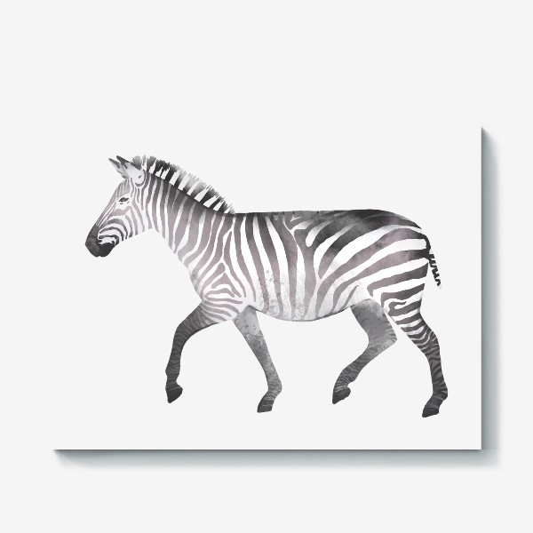 Холст «Акварельная нарисованная вручную яркая иллюстрация с полосатой черно-белой зеброй. Животные Африки, зоопарк»