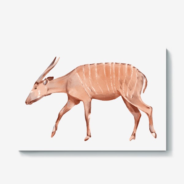 Холст «Акварельная нарисованная вручную яркая иллюстрация с полосатой антилопой. Животные Африки, зоопарк»