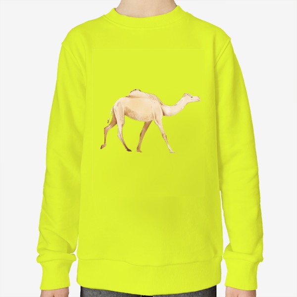 Свитшот &laquo;Акварельная нарисованная вручную яркая иллюстрация с бежевым одногорбым верблюдом. Животные Африки, зоопарк&raquo;