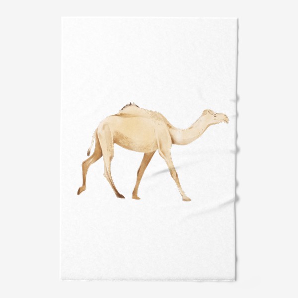 Полотенце &laquo;Акварельная нарисованная вручную яркая иллюстрация с бежевым одногорбым верблюдом. Животные Африки, зоопарк&raquo;