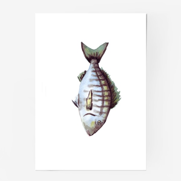 Постер «Рыба. Зубан большеглазый.»