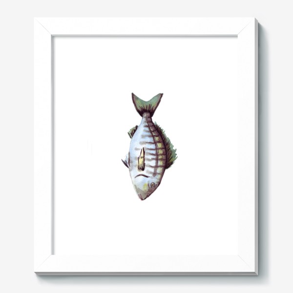 Картина «Рыба. Зубан большеглазый.»