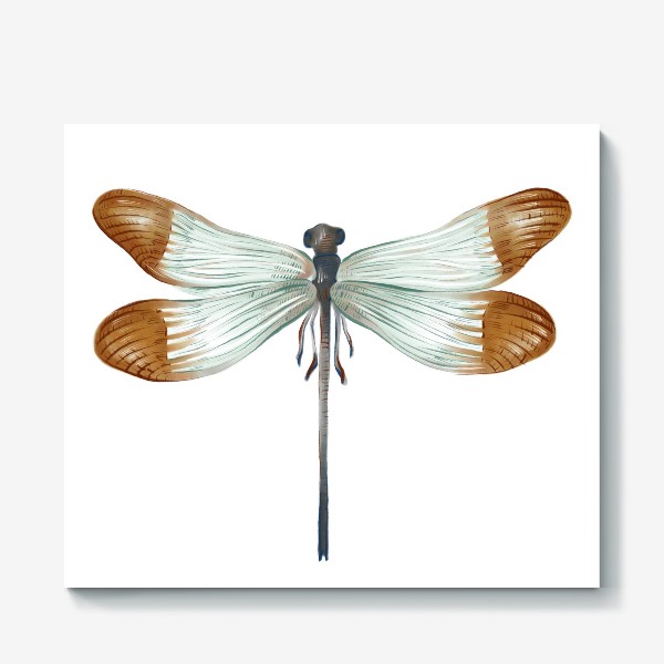 Холст &laquo;Акварельная нарисованная вручную яркая иллюстрация с экзотической бабочкой, стрекозой&raquo;