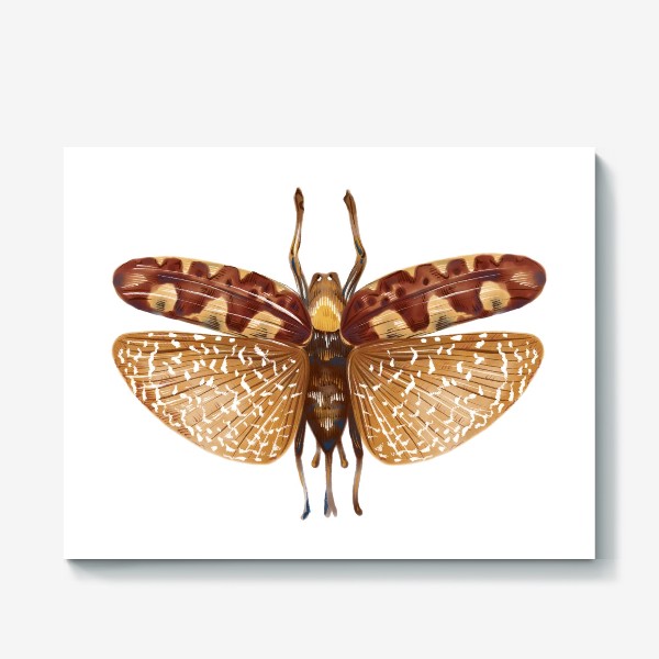 Холст «Акварельная нарисованная вручную яркая иллюстрация с экзотической бабочкой, стрекозой»
