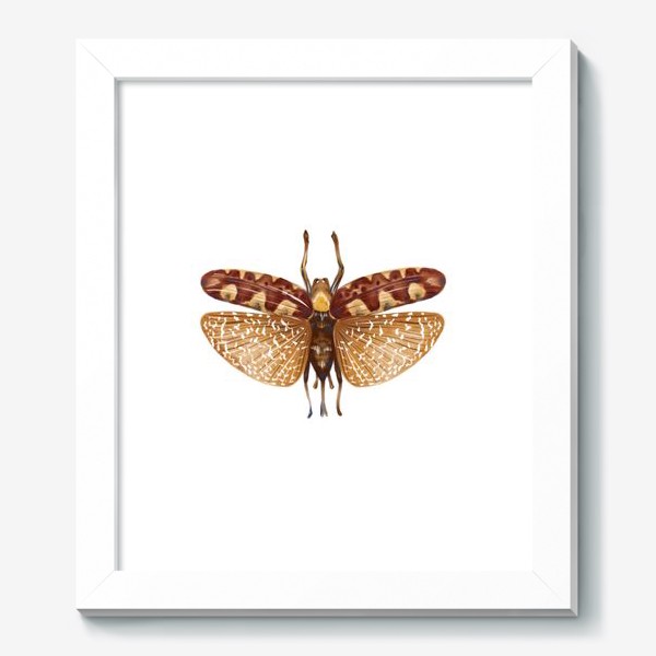 Картина «Акварельная нарисованная вручную яркая иллюстрация с экзотической бабочкой, стрекозой»