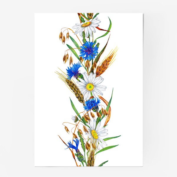 Постер «Полевые цветы и злаки. Ромашка, василёк, пшеница, овес»