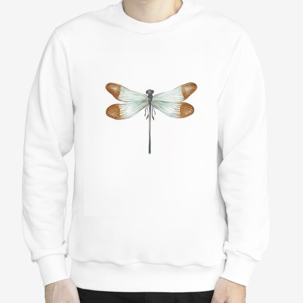 Свитшот &laquo;Акварельная нарисованная вручную яркая иллюстрация с экзотической бабочкой, стрекозой&raquo;