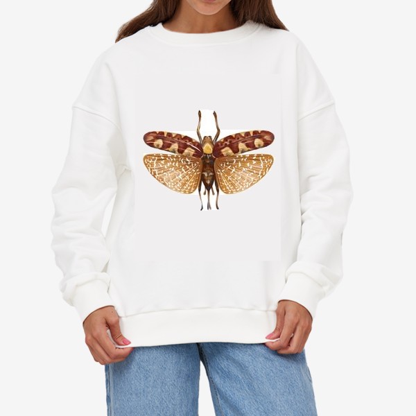Свитшот &laquo;Акварельная нарисованная вручную яркая иллюстрация с экзотической бабочкой, стрекозой&raquo;