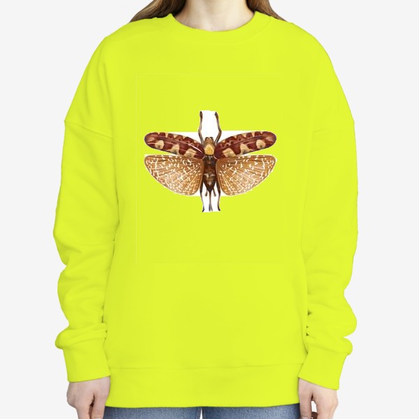 Свитшот «Акварельная нарисованная вручную яркая иллюстрация с экзотической бабочкой, стрекозой»