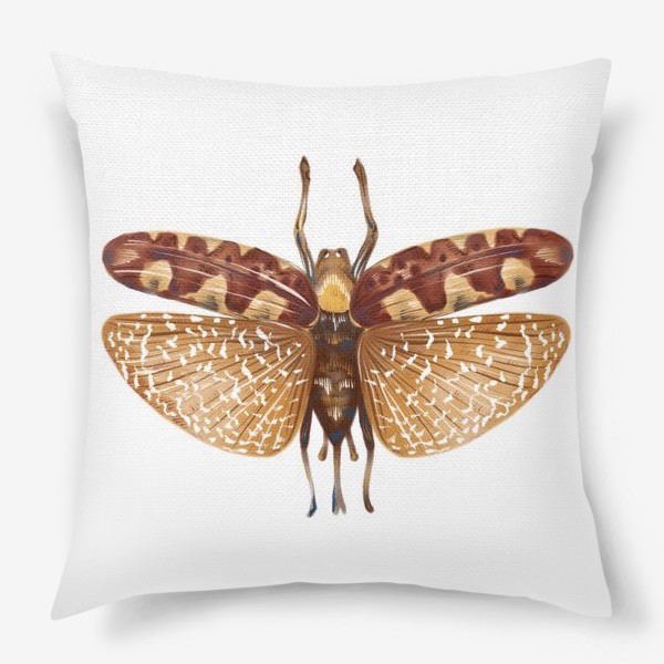 Подушка &laquo;Акварельная нарисованная вручную яркая иллюстрация с экзотической бабочкой, стрекозой&raquo;