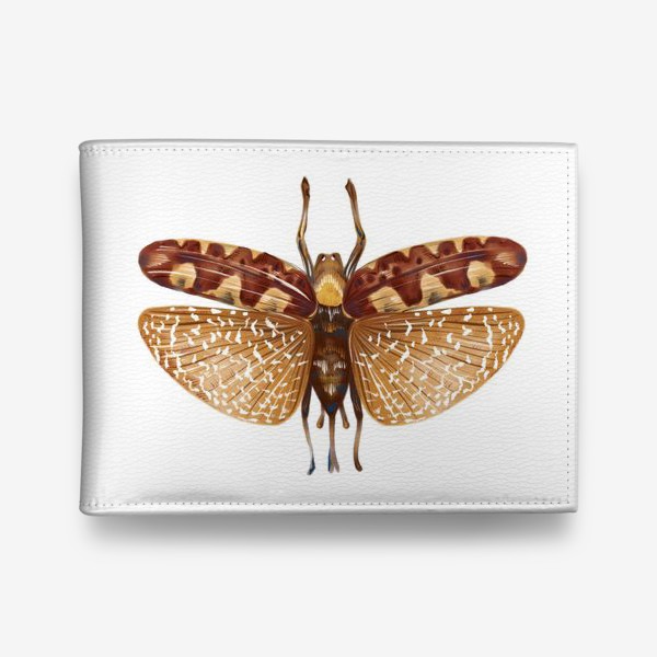 Кошелек «Акварельная нарисованная вручную яркая иллюстрация с экзотической бабочкой, стрекозой»