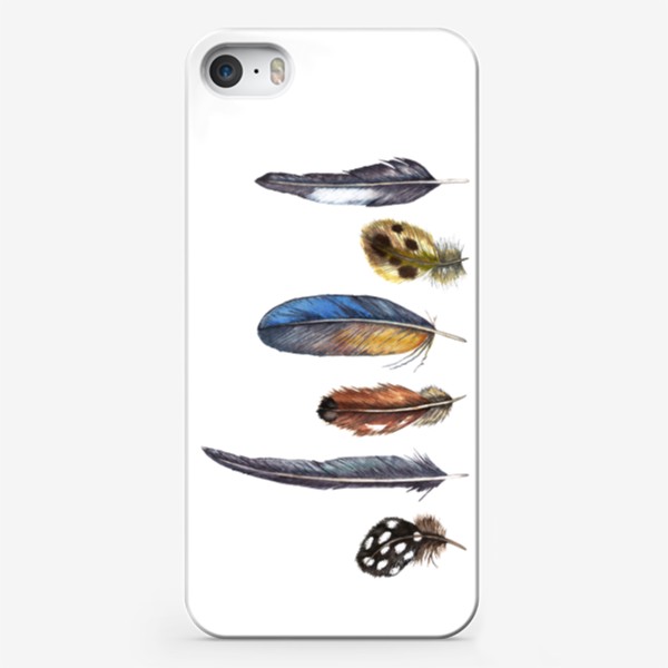 Чехол iPhone «Перья диких птиц. Реализм. Акварель.»