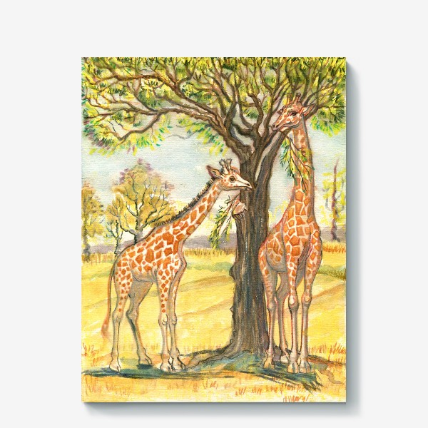 Холст &laquo;Акварельная нарисованная вручную яркая иллюстрация с жирафами в Африке. Животные в пустыне, деревья, пастель&raquo;