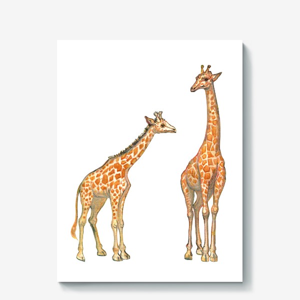 Холст «Акварельная нарисованная вручную яркая иллюстрация с жирафами в Африке. Животные пустыни, мама и малыш, пастель»