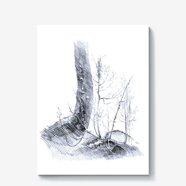 Холст &laquo;Нарисованная вручную карандашом лесная иллюстрация, ствол дерева. куст можжевельника, ветки, корни, кочка&raquo;