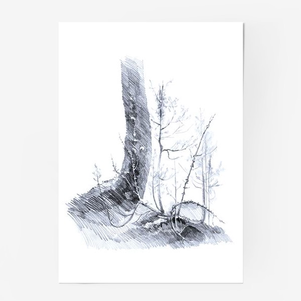 Постер «Нарисованная вручную карандашом лесная иллюстрация, ствол дерева. куст можжевельника, ветки, корни, кочка»