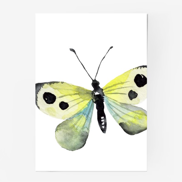 Постер «Бабочка»