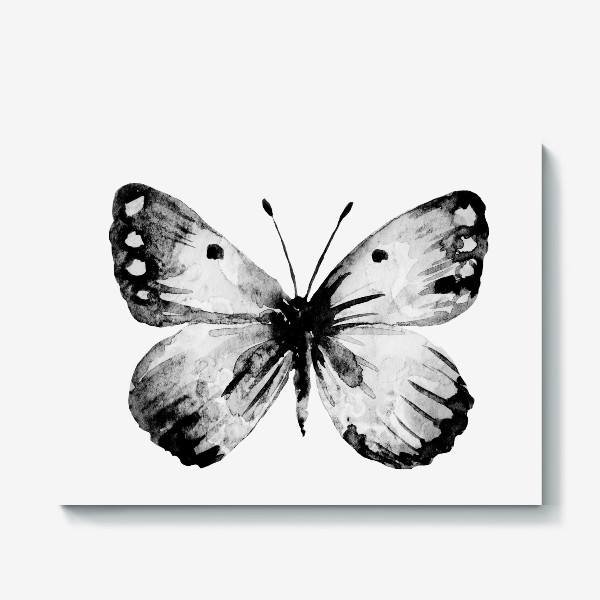 Холст «Черно-белая бабочка»