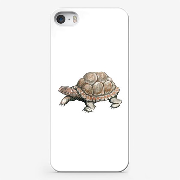 Чехол iPhone «Акварельная нарисованная вручную иллюстрация с яркой иллюстрацией сухопутной черепахи, животное»